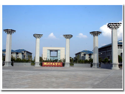 ������ҽҩ��ѧ