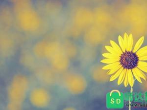 ����������������������