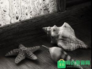 ������������������100��