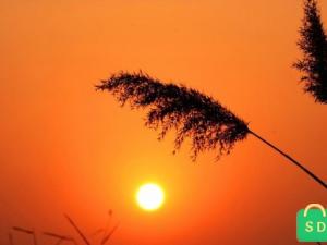 �����˶������������