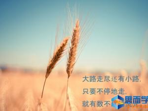 治愈系的心灵鸡汤小故事【汇总】 治愈系的心灵鸡汤小故事【汇总】