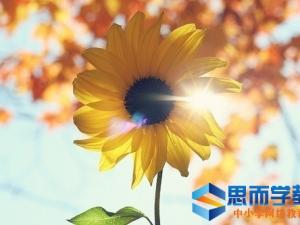 关于人生现实哲理句子 关于人生现实哲理句子