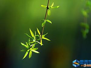 美好人生哲理的句子【优秀】 美好人生哲理的句子【优秀】