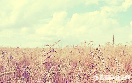 ʧ���ľ���˵˵���������¼