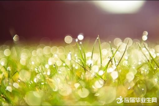 ʧ���ľ���˵˵����2016��ѡ