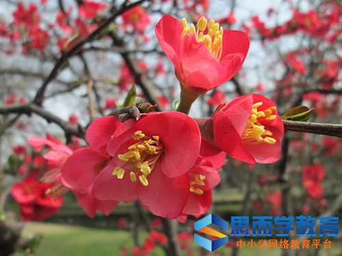 高考理科专科分数线预测 高考理科专科分数线预测