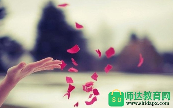 д���鲻�õľ���