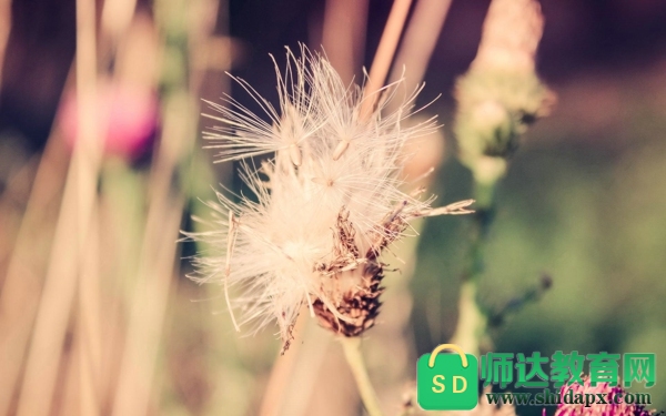 qq���鲻�õľ���