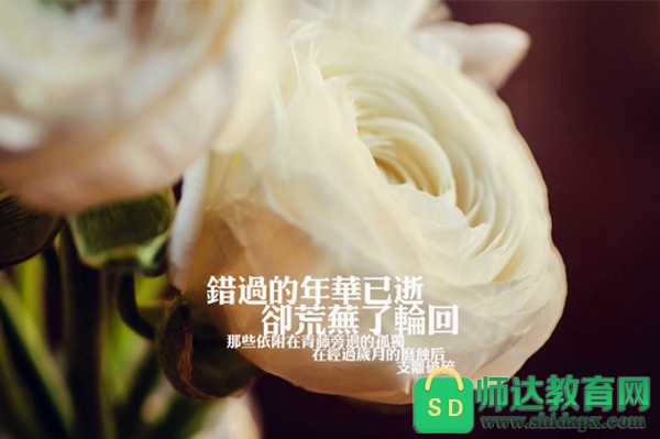 ���鲻�õľ��Ӵ�ͼƬͼ��