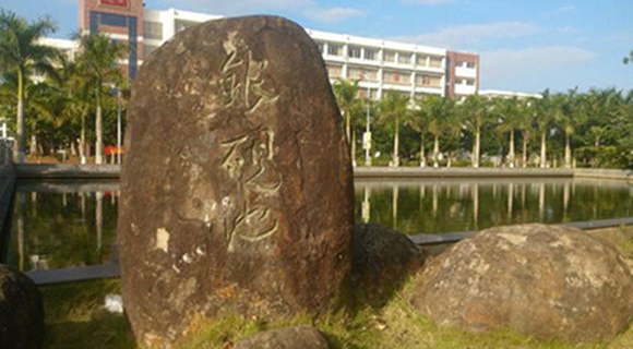 2015年海南十大专科学校排名